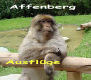 Affenberg-