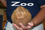 Zoo-1