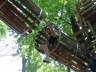 Klettergarten 08