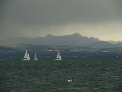 Farewell-Party 2008 im Ruderverein FN