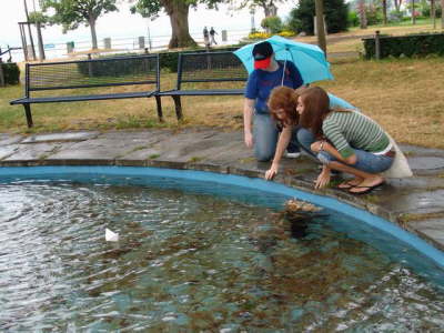 City-Rallye des Peoria-Club`s