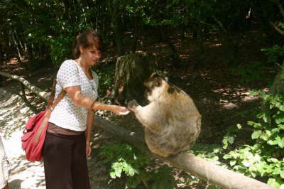 Affenberg - monkeys mountain Salem