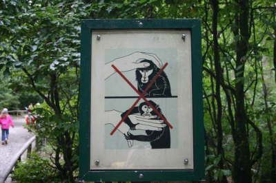 Affenberg - monkeys mountain Salem
