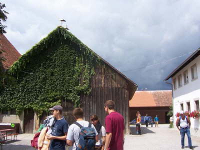 Affenberg - monkeys mountain Salem