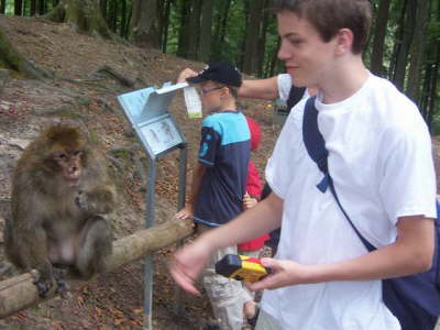 Affenberg - monkeys mountain Salem